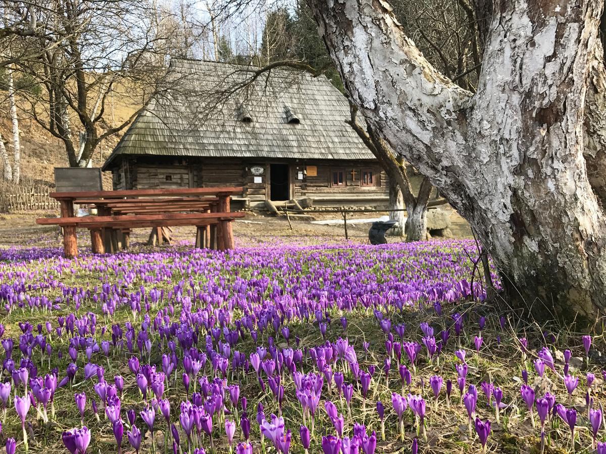 Agio Hotel Колочава Экстерьер фото