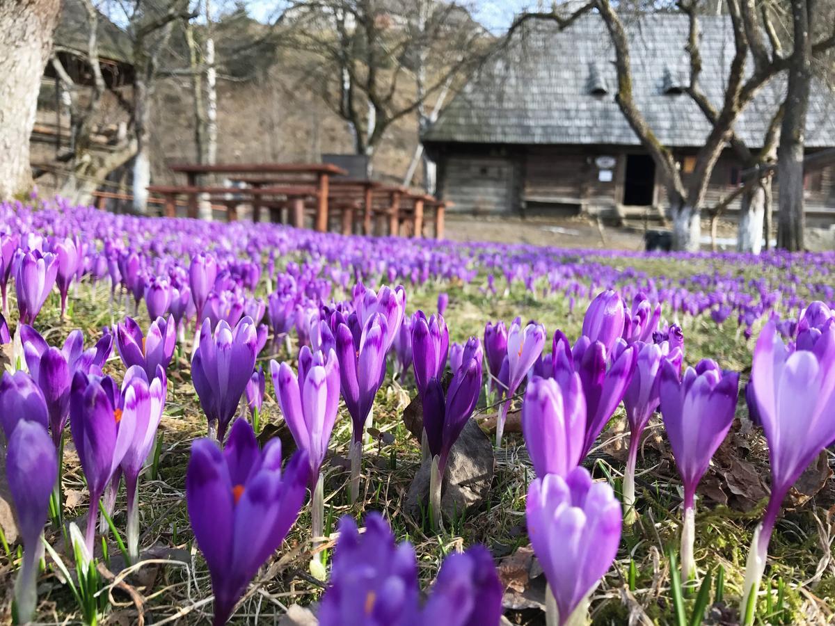 Agio Hotel Колочава Экстерьер фото
